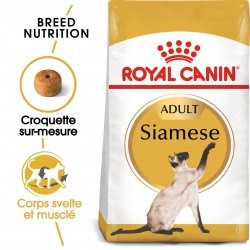 ROYAL CANIN - Siamese38 2kg