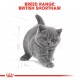 ROYAL CANIN - Kitten British ShortHair 2kg