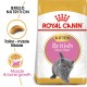 ROYAL CANIN - Kitten British ShortHair 2kg