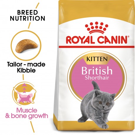 ROYAL CANIN - Kitten British ShortHair 2kg