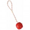 TRIXIE - JOUET AQUA BALL A ROPE 4.5/35 CM