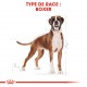 ROYAL CANIN - Boxer Adult 12kg